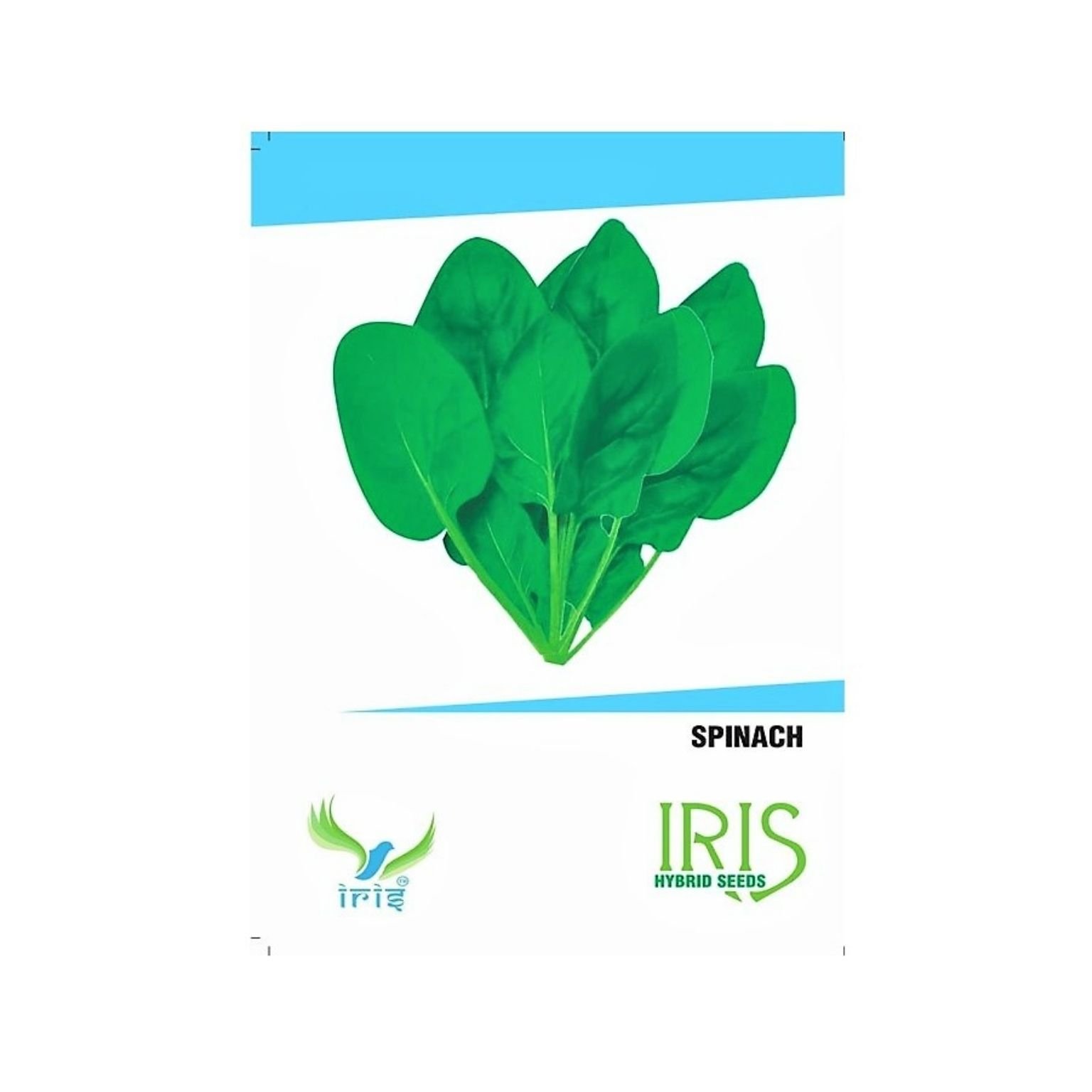 Iris Hybrid Palak Vegetable Seeds