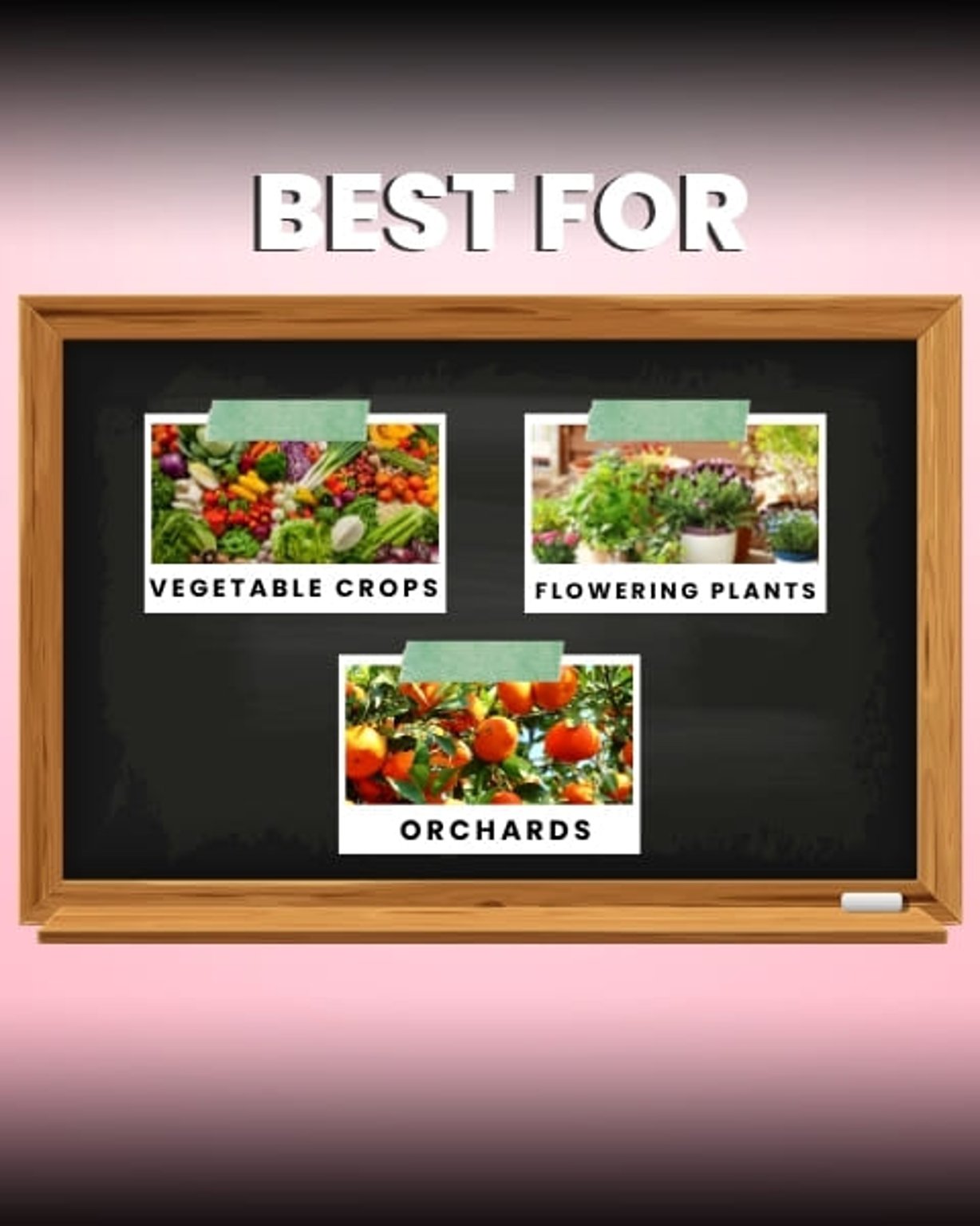 Katyayani Organics Flowering Booster Organic Fertilizer With Mix Micronutrient Booster