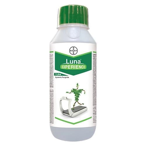Bayer Luna Experience Fluopyram 17.7% + Tebuconazole 17.7% w/w SC