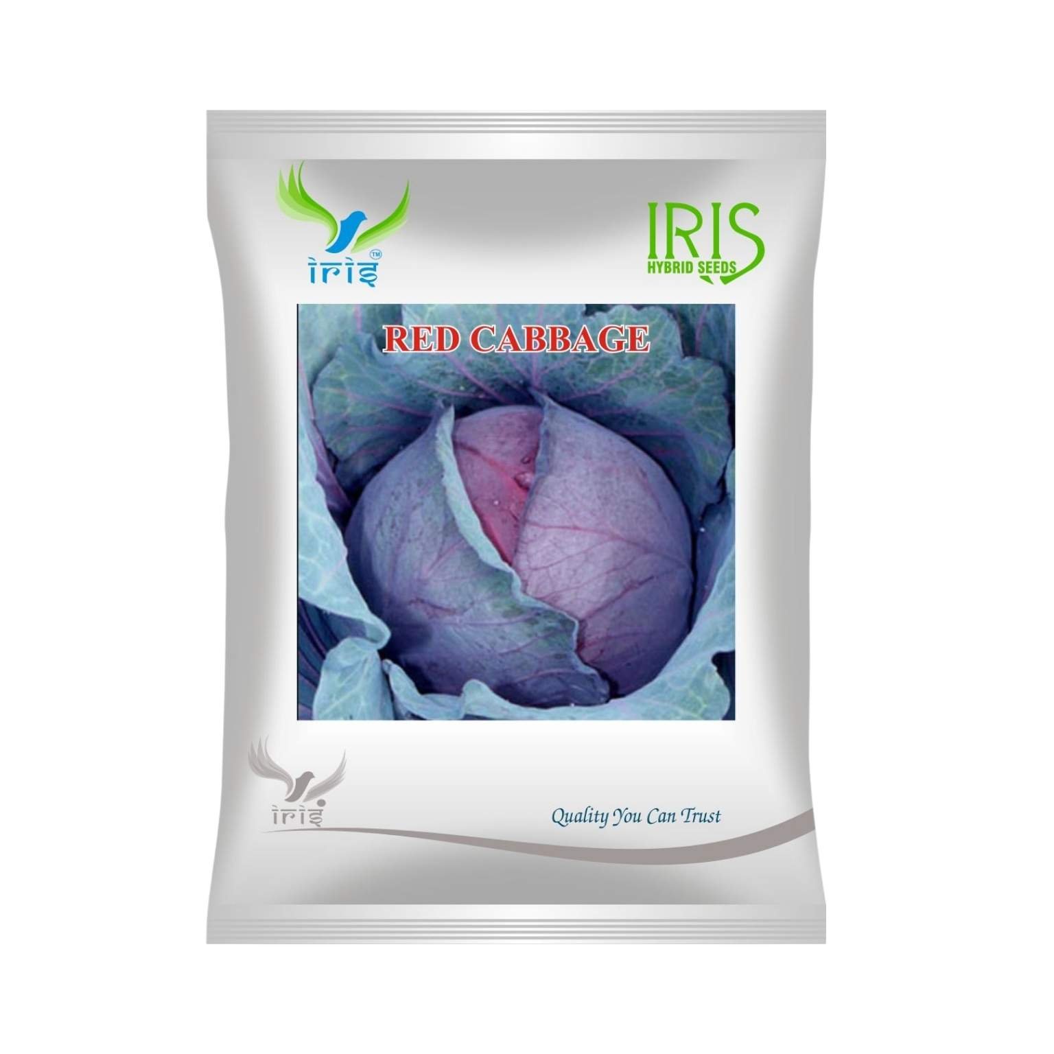 Iris Hybrid Cabbage Red Vegetable Seeds (Commercial Pack)