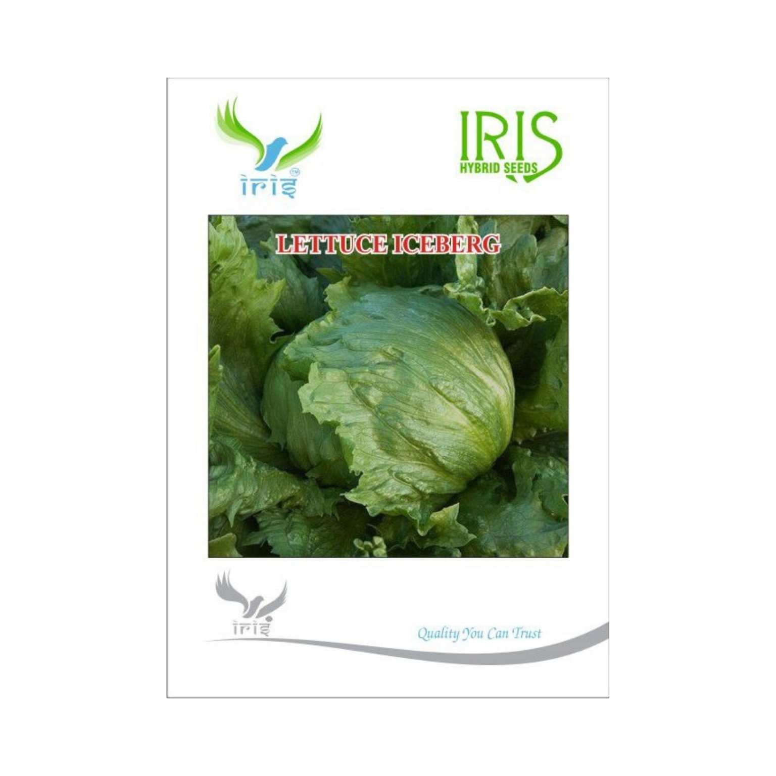 Iris Lettuce Iceberg Vegetable Seeds