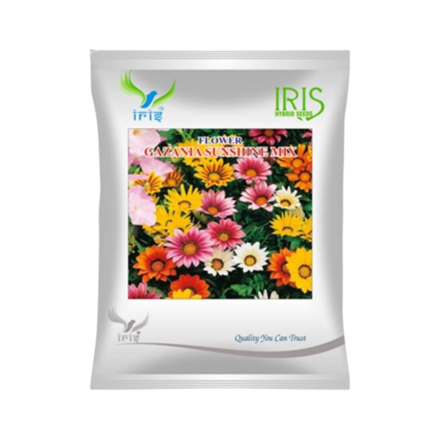 Iris Gazania Sunshine Mix Flower Seeds (Commercial Pack)