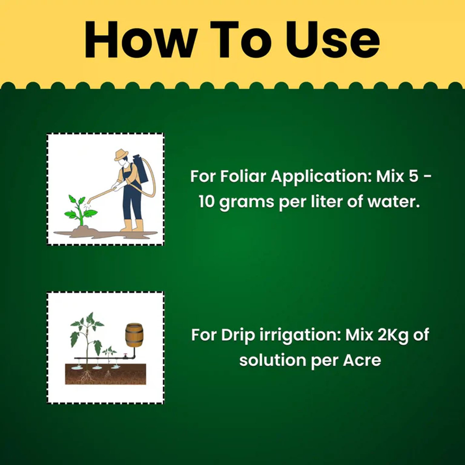 Katyayani Triple Attack Verticillium Lecanii + Beauveria Bassiana + Metarhizium Anisopliae Bio Pesticide Powder | Katyayani Organics