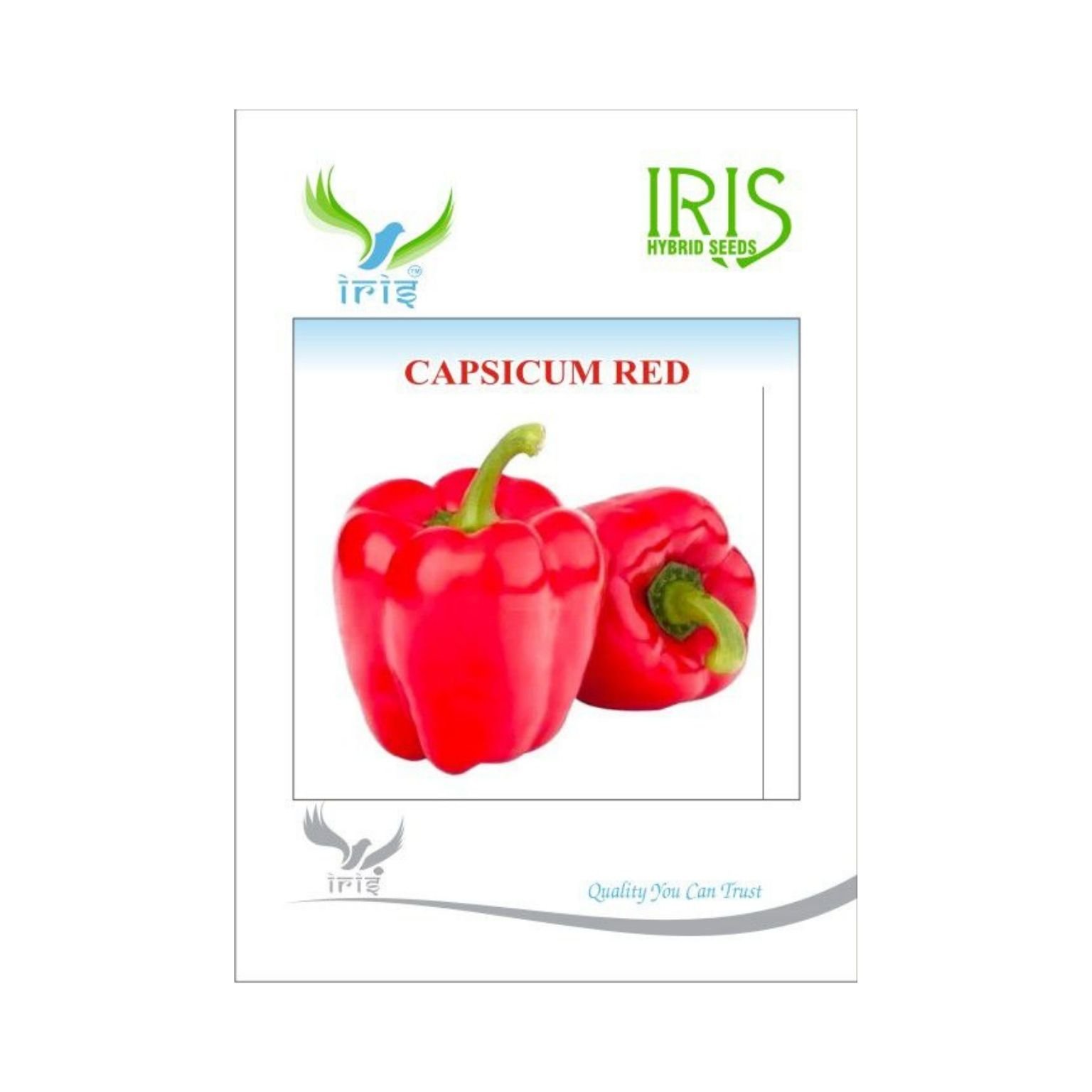 Iris Hybrid Capsicum Red Vegetable Seeds (10 Gms)