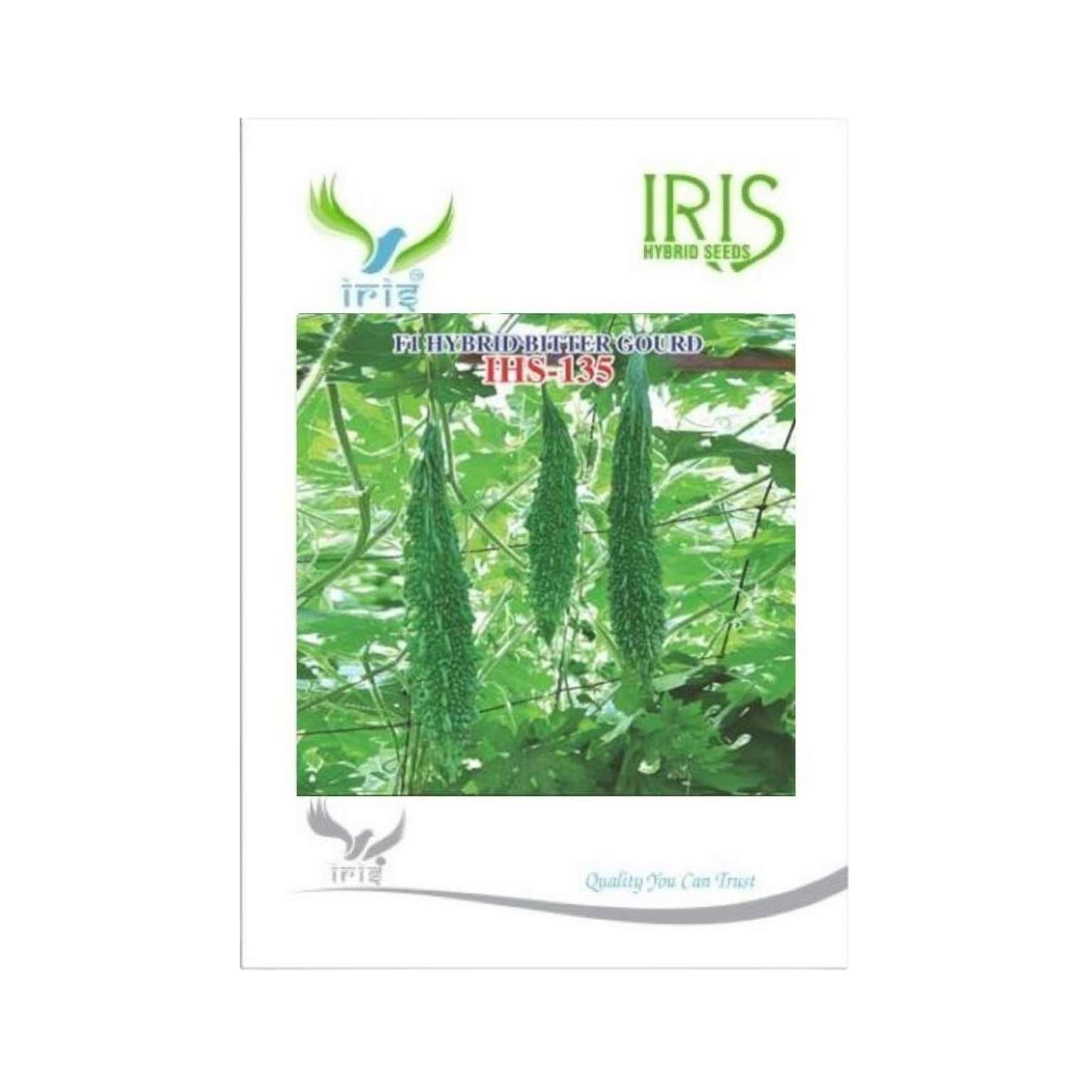 Iris Hybrid Bitter Gourd IHS 135 Vegetable Seeds