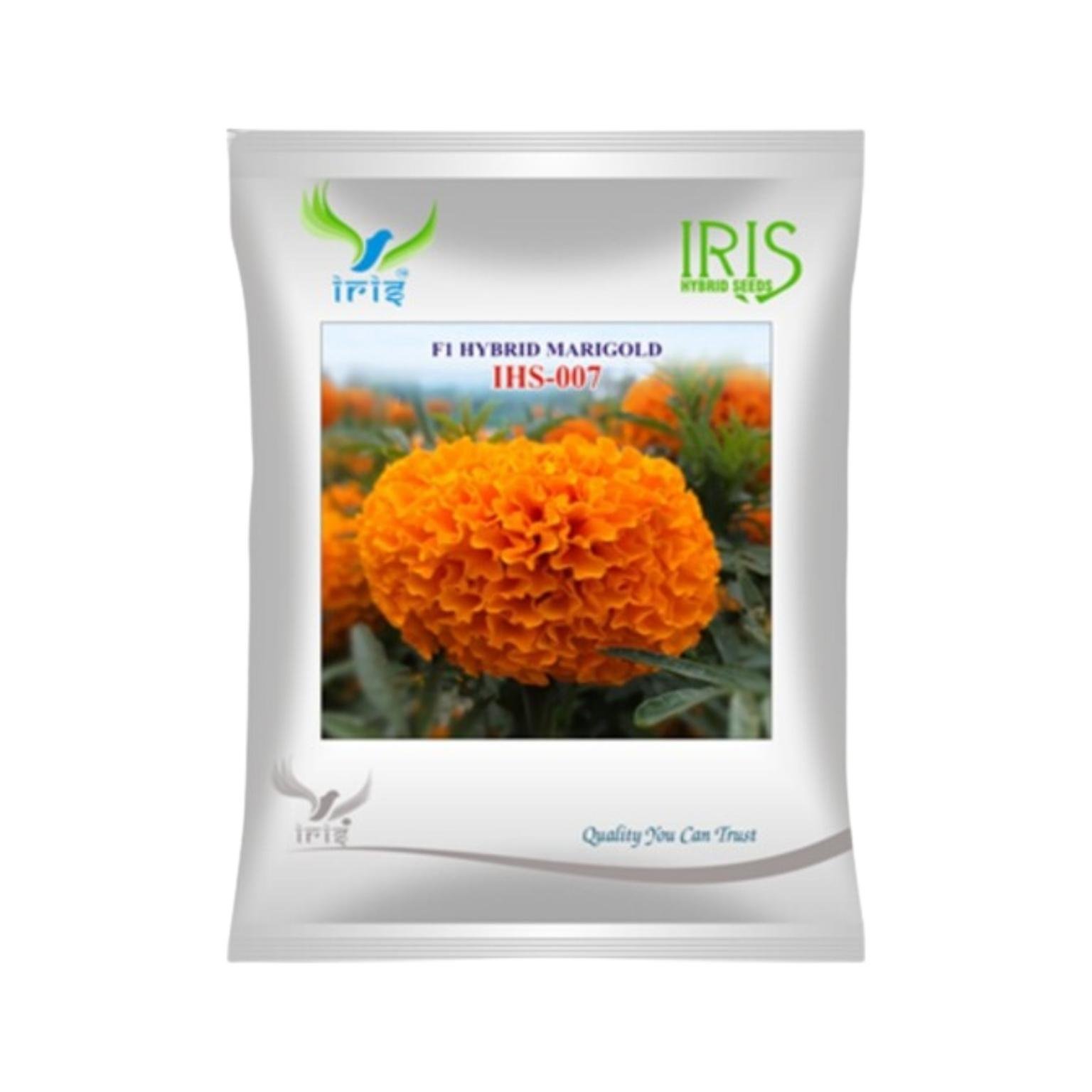 Iris Hybrid Marigold Orange IHS007 Flower Seeds