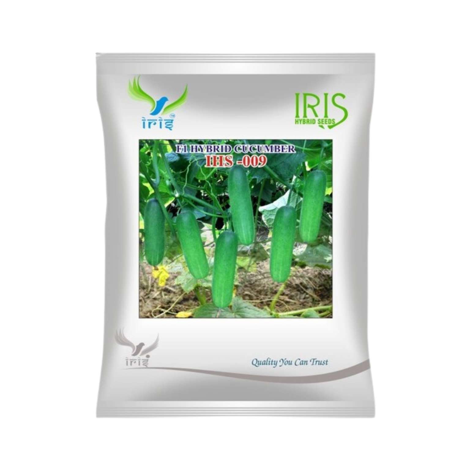 Iris Hybrid Cucumber IHS 009 Vegetable Seeds