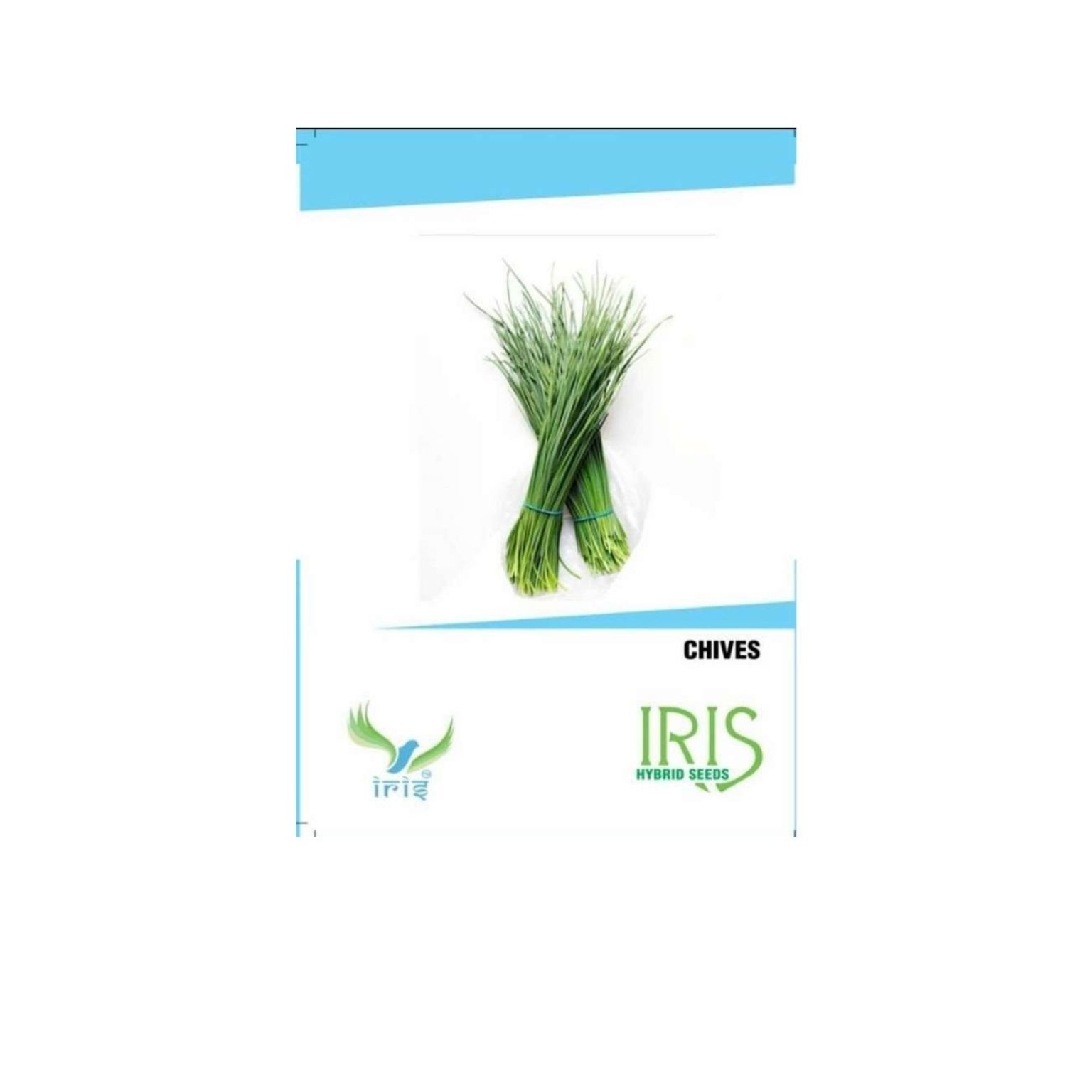 Iris Hybrid Chives Vegetable Seeds
