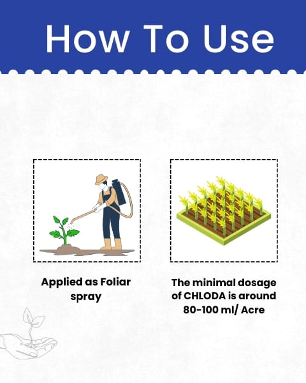 Katyayani Chloda Chemical insecticide | Chlorantraniliprole 9.3% + Lambda Cyhalothrin 4.6% ZC
