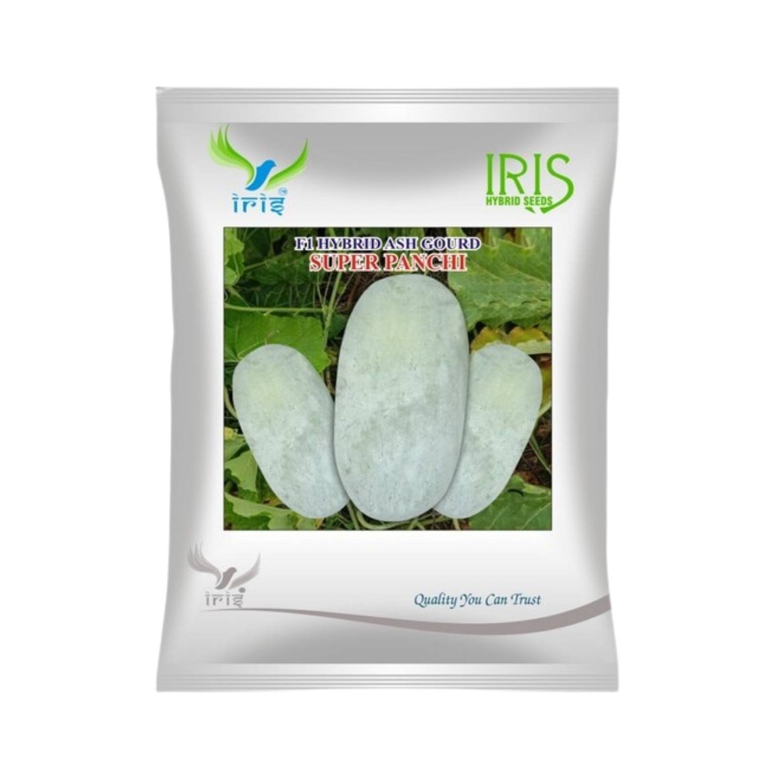 Iris Hybrid Ash Gourd (Long) Super Panchi Vegetable Seeds
