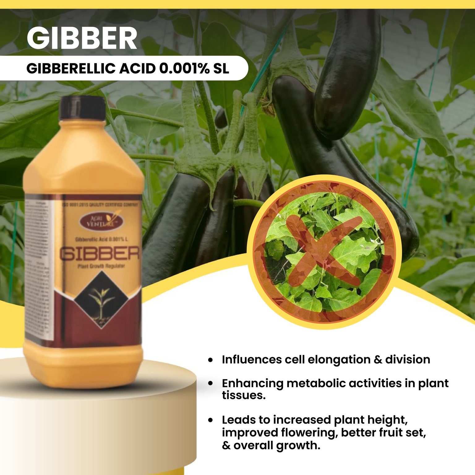 Agriventure GIBBER Gibberelic Acid 0.001% SL
