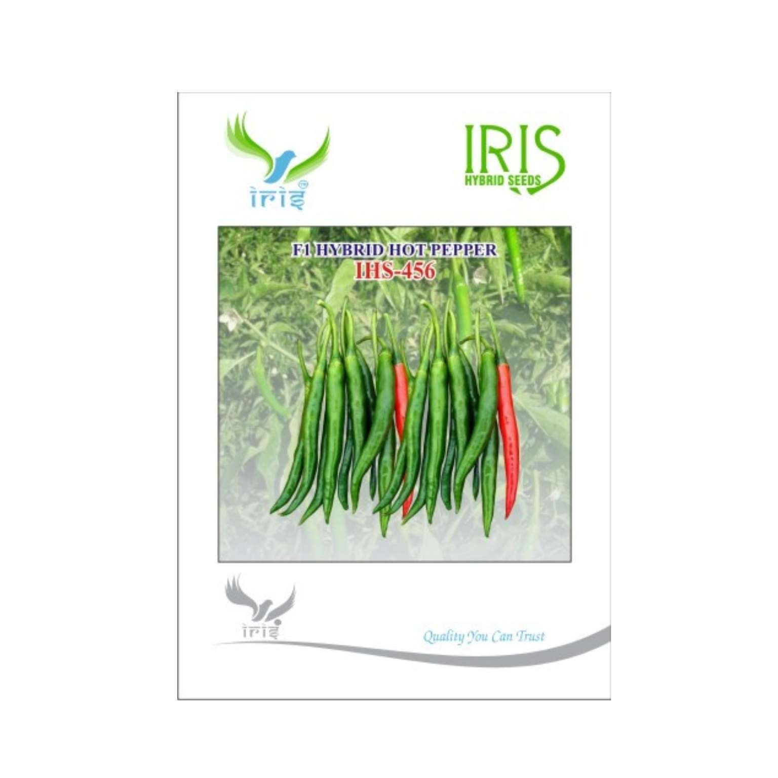 Iris Hybrid Hot Pepper (Chilli) IHS 456 Vegetable Seeds