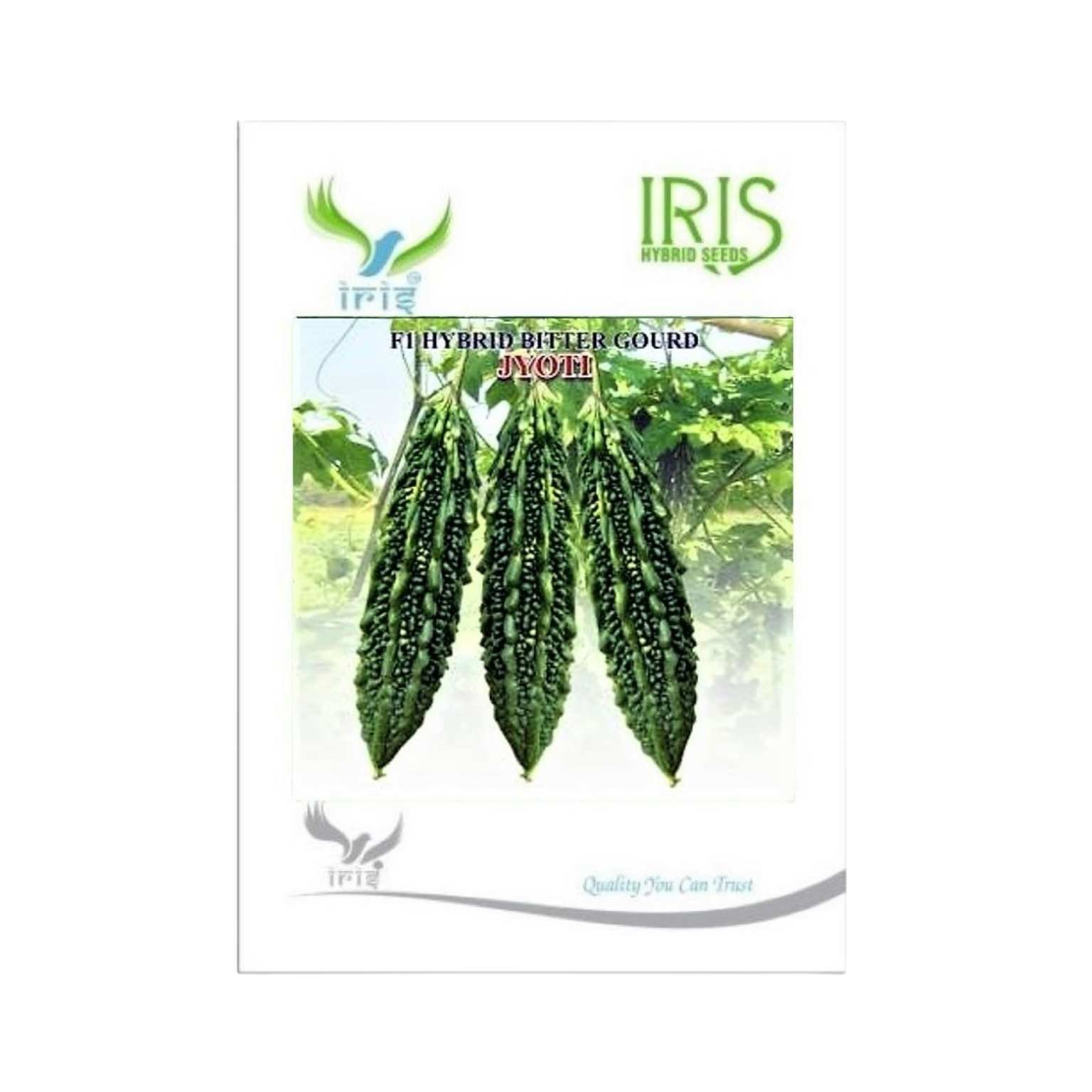 Iris Hybrid Bitter Gourd Jyoti Vegetable Seeds