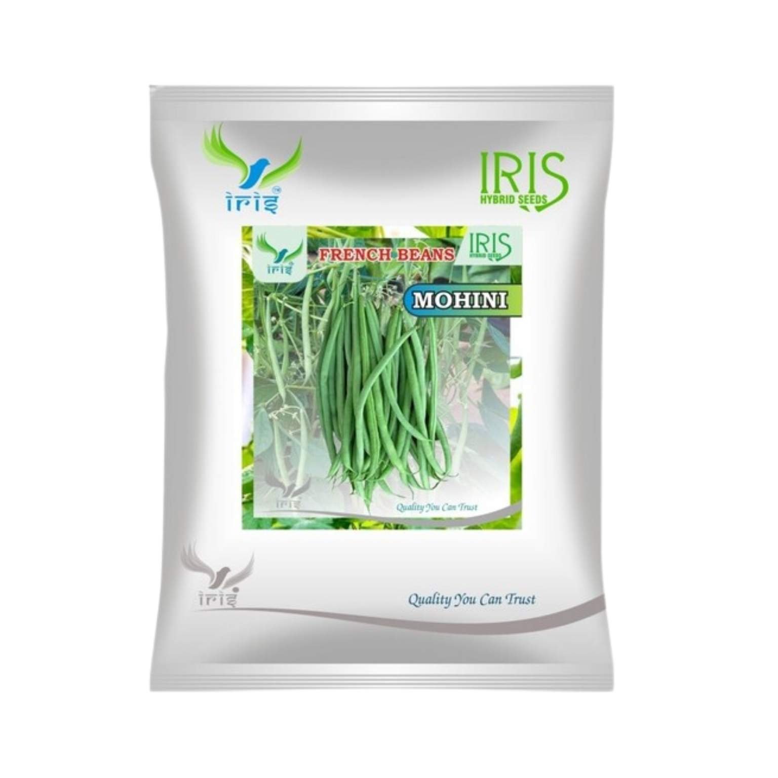 Iris Hybrid French Beans Mohini Vegetable Seeds