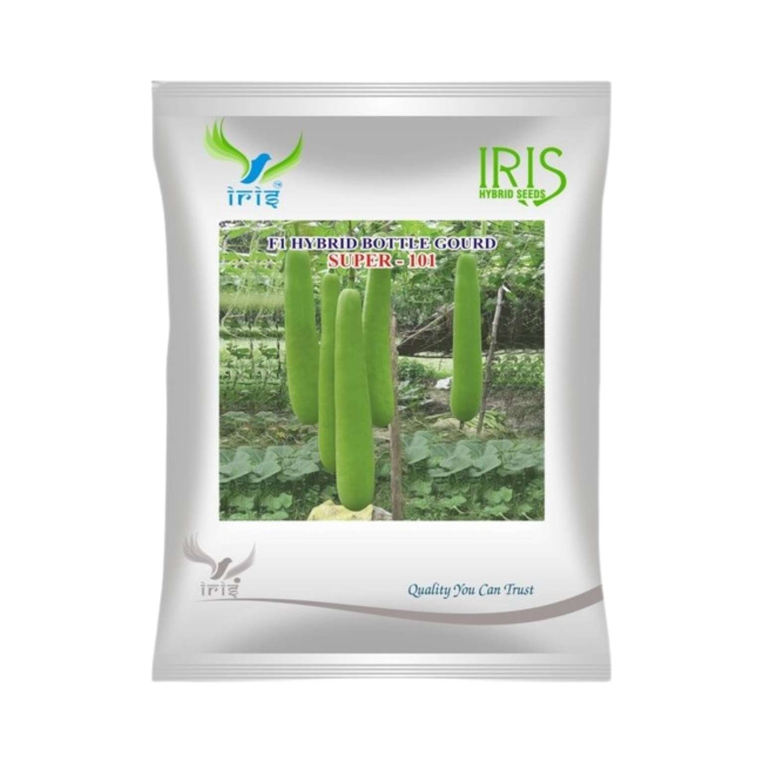Iris Hybrid Bottle Gourd Super 101 Vegetable Seeds