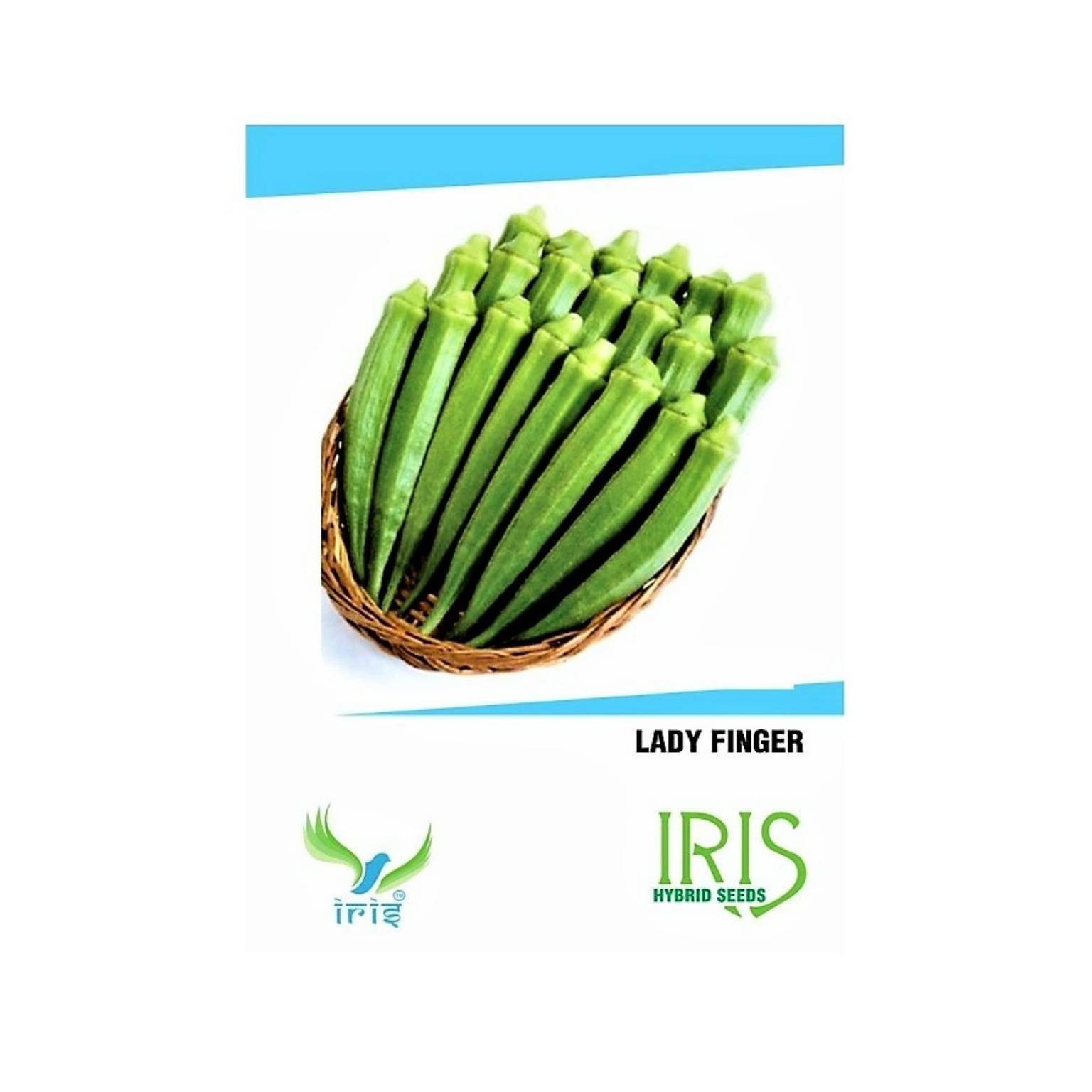 Iris Hybrid Okra Vegetable Seeds