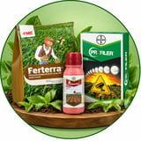 Crop Protection