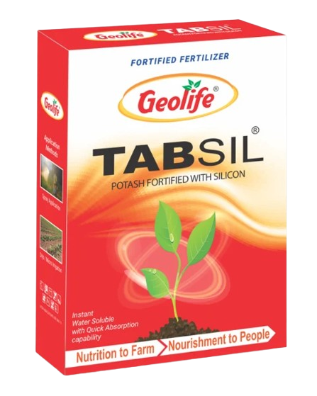 Tabsil FA