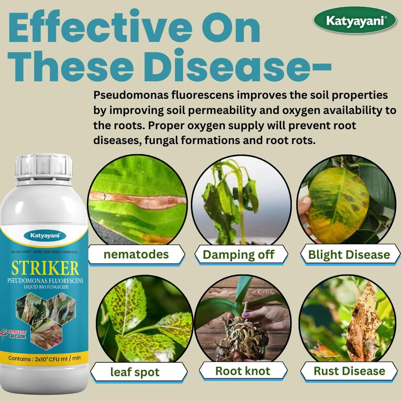 Katyayani Striker | Pseudomonas Fluorescens | Liquid Bio Fungicide