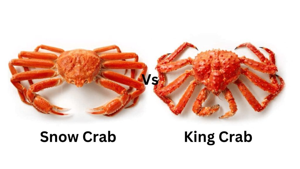 Battle of Crabs
