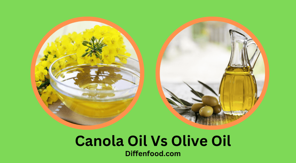 Canola Oil Vs Olive Oil