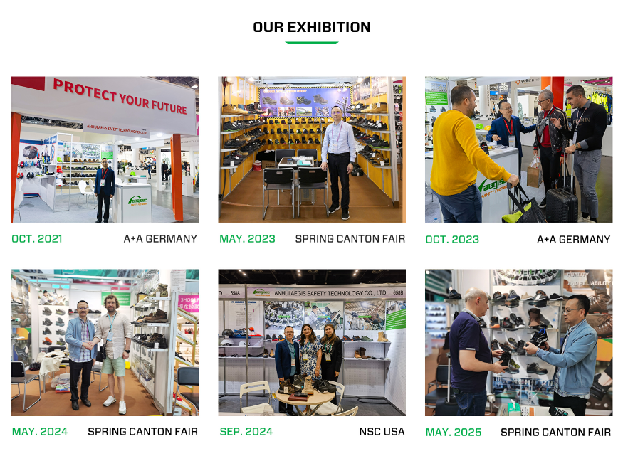 aegisec exhibitions