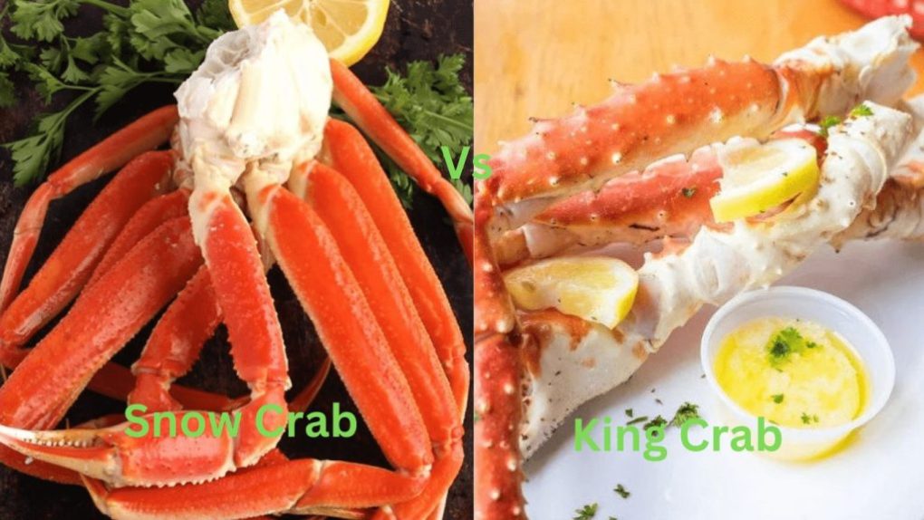 Snow Crab or King Crab
