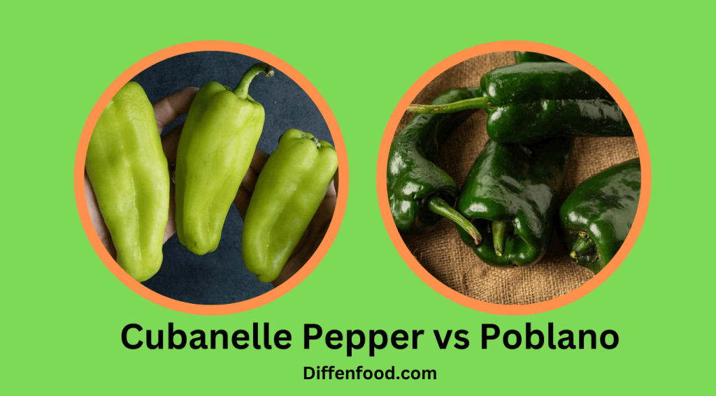 Cubanelle Pepper vs Poblano