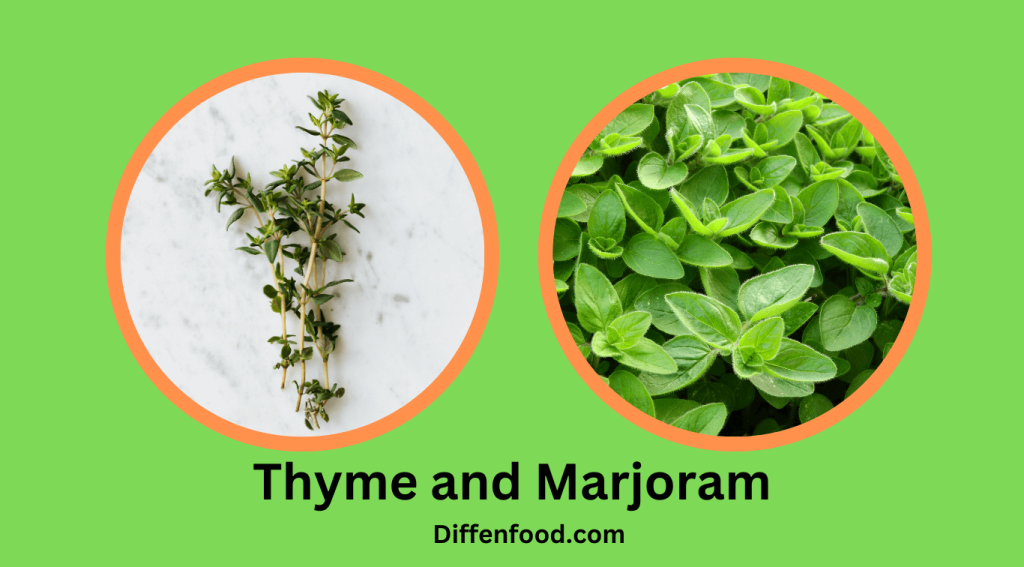 Thyme and Marjoram