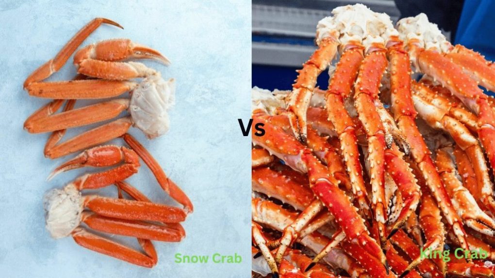 Snow Crab or King Crab