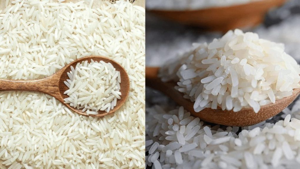 Comparison of Basmati and Jasmine Rice