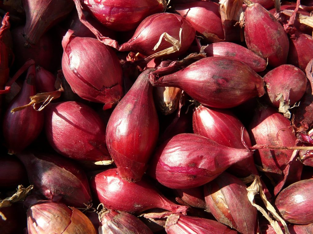 red shallots, shallots, shallot-5773.jpg