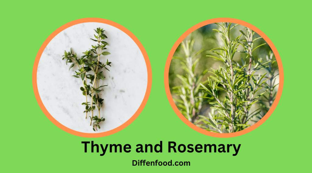 Thyme and Rosemary