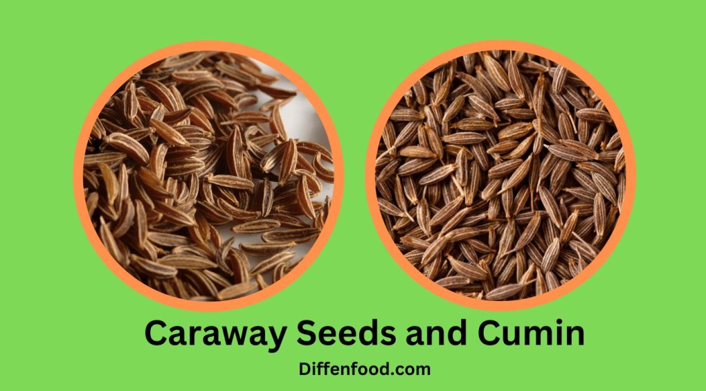 Caraway Seeds and Cumin