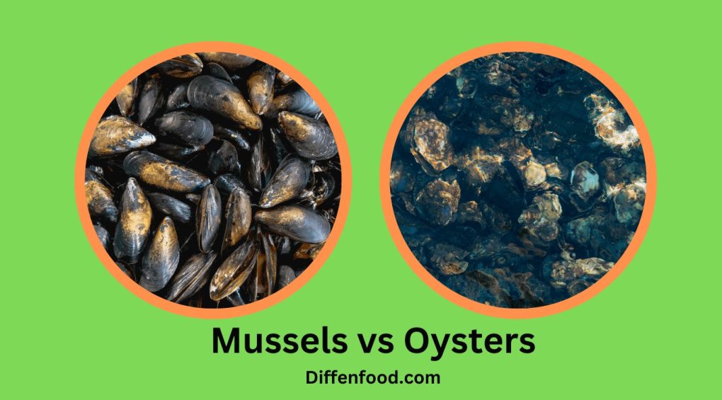 Mussels vs Oysters
