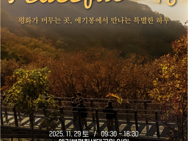 애기봉평화생태공원, 29일 특별문화행사 ‘PEACEFUL 애기봉’ 연다