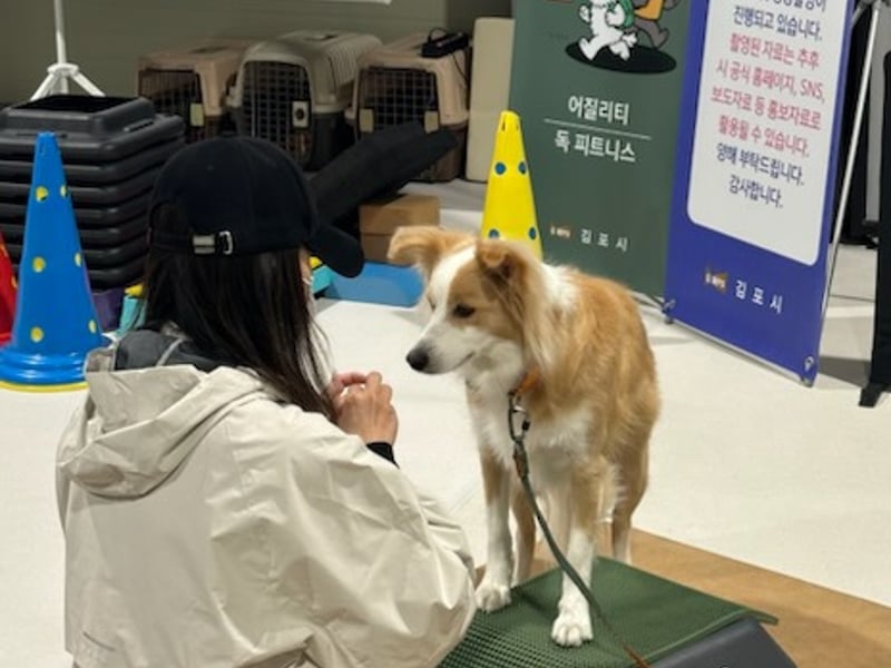 김포시, 반려견 문화교육 ‘큰 호응’