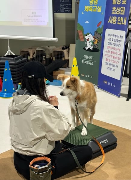김포시, 반려견 문화교육 ‘큰 호응’