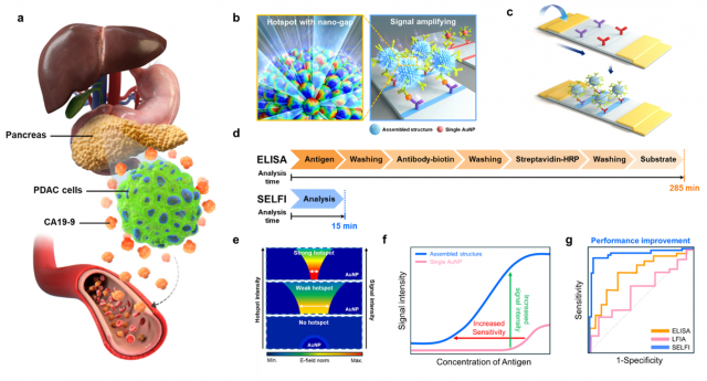 건국대 연구팀, 췌장암 ‘15분 신속 진단’ 신기술 개발