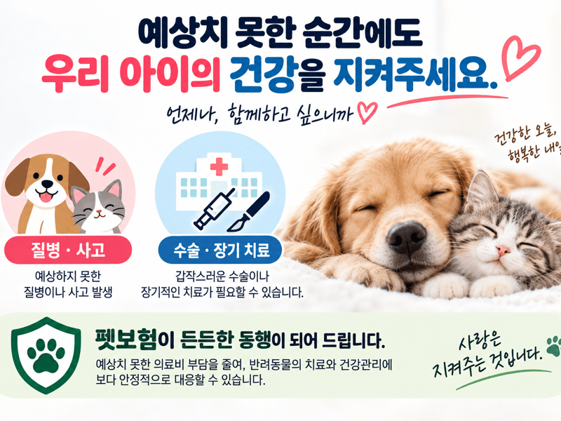 [김종우 칼럼] 반려동물산업 에세이_110 예상치 못한 순간에도 우리 아이의 건강을 지켜주세요