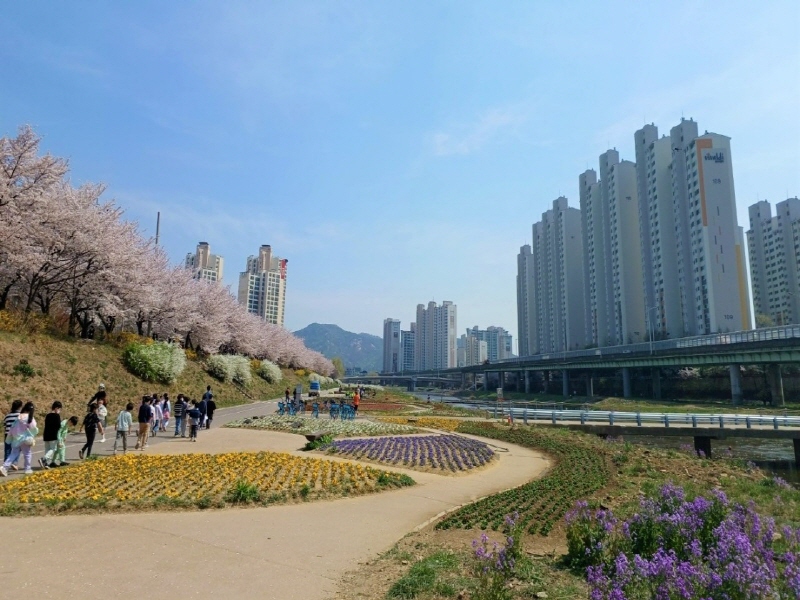 성남, 성남천 지방정원 조성 추진…2026년 운영 목표