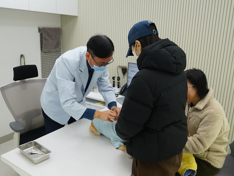 [달라진 김포, 시민 일상 속 변화④]김포시 반려동물 공공진료센터, 시민 만족도 92점 달해