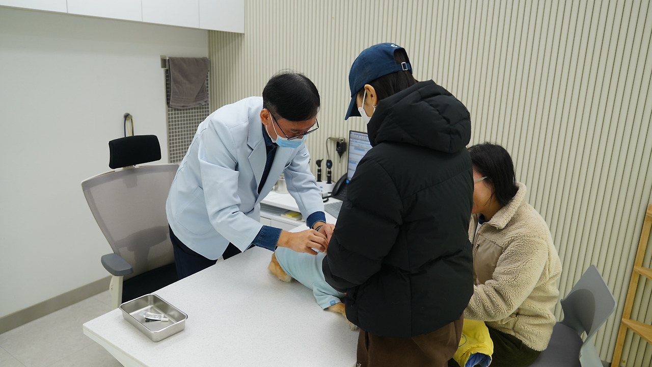 [달라진 김포, 시민 일상 속 변화④]김포시 반려동물 공공진료센터, 시민 만족도 92점 달해