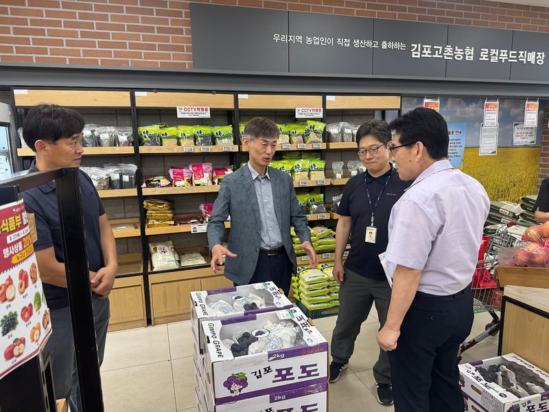 김포시, ‘제29회 김포포도 직거래장터’ 연다…행사 앞서 현장행정