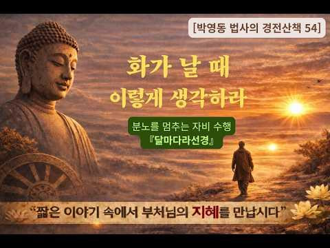 박영동 법사의 경전산책 54