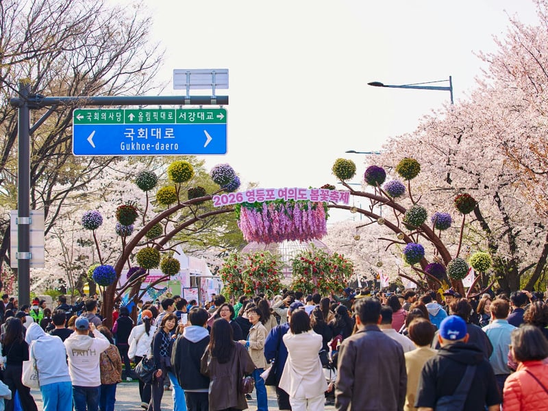 영등포구, ‘여의도 봄꽃축제’ 360만 명이 즐겼다