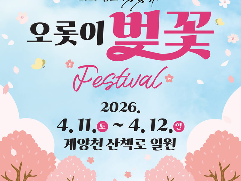 ‘빛나는 밤·벚꽃, 고스란히 인생 숏’ 김포벚꽃축제 열린다