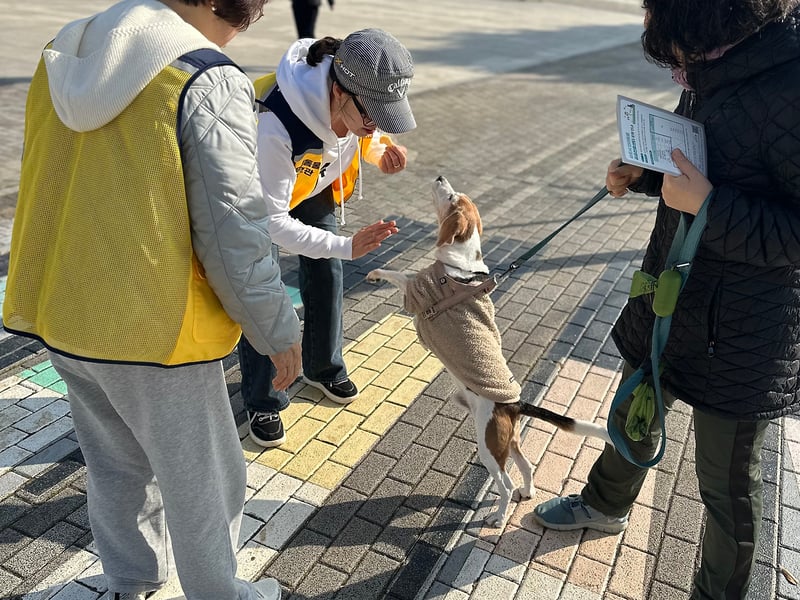 김포시, 2025년 2차 민관합동 동물등록 집중단속 캠페인 펼쳐