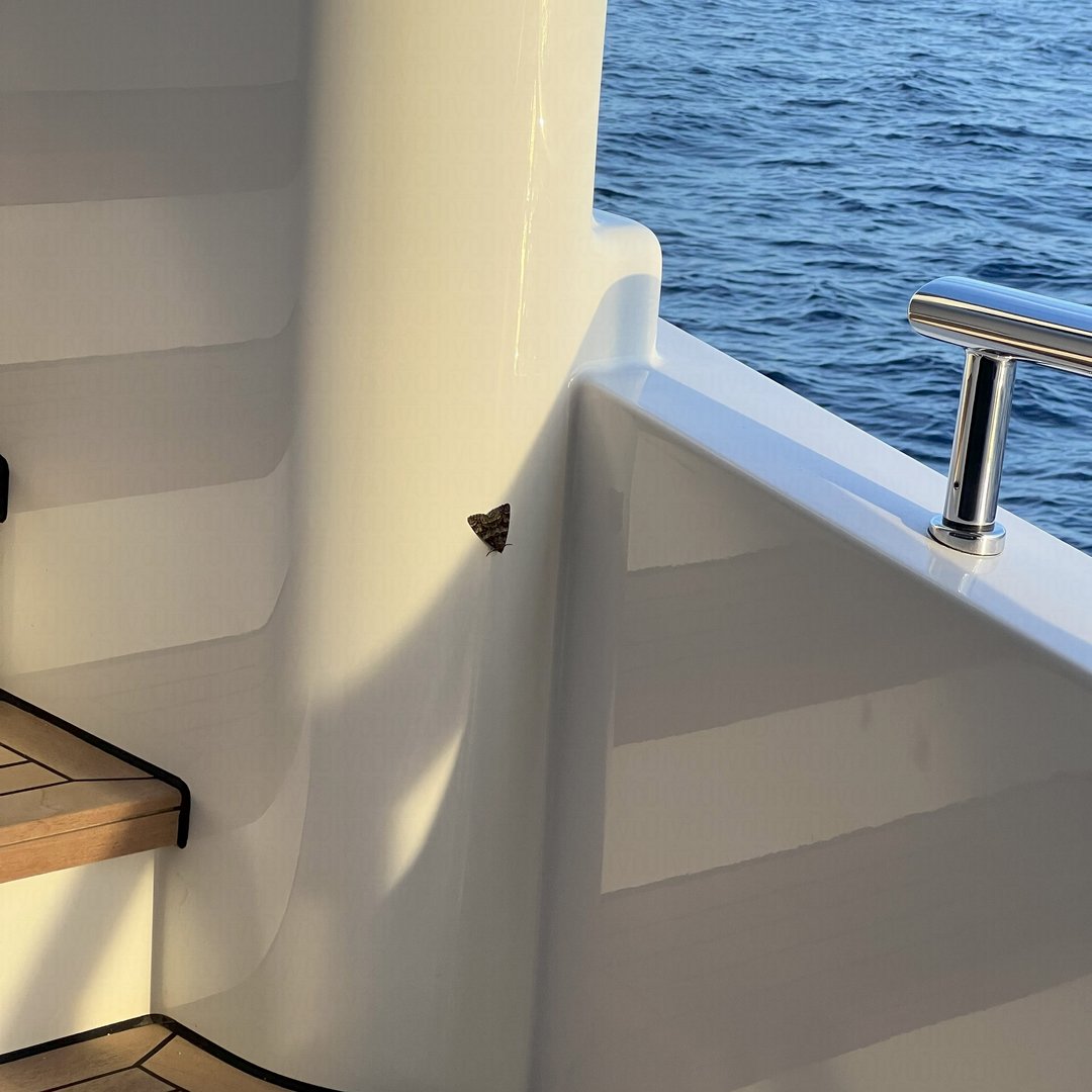 Comprehensive yacht management and maintenance by Divo Yacht