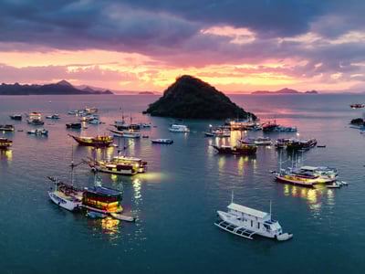 Professional Fishing Charters